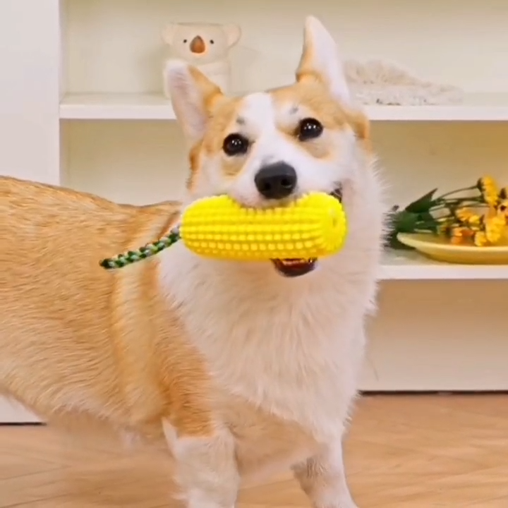 Dog Chew Toys, Puppy Toothbrush Clean Teeth Interactive Corn Toys, Dog Toys Aggressive Chewers Small Meduium Large Breed